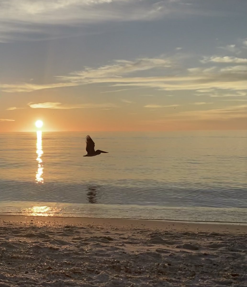 almostnands's tweet photo. may we embrace today 
(and everyday)
with the joy and reckless abandon 
borne of a courageous heart 

#ThePhotoHour #chasingsunsets #poetry #Happy2022 https://t.co/JpencT4pO1