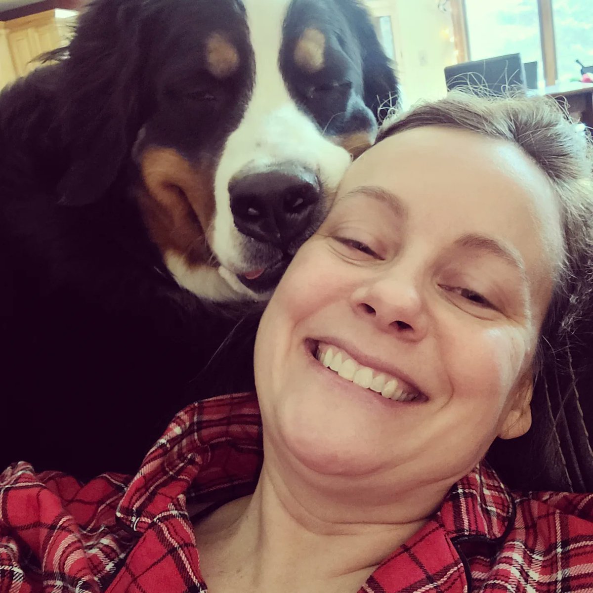 F1r3danc3r's tweet photo. 1️⃣ year old
0️⃣ concept of personal space

Happy birthday, fluffy puppy! ❤🐾
#Hattie #bernesemountaindog #birthdaygirl #newyearsbaby #bestpresentever https://t.co/FgRSPRgylA