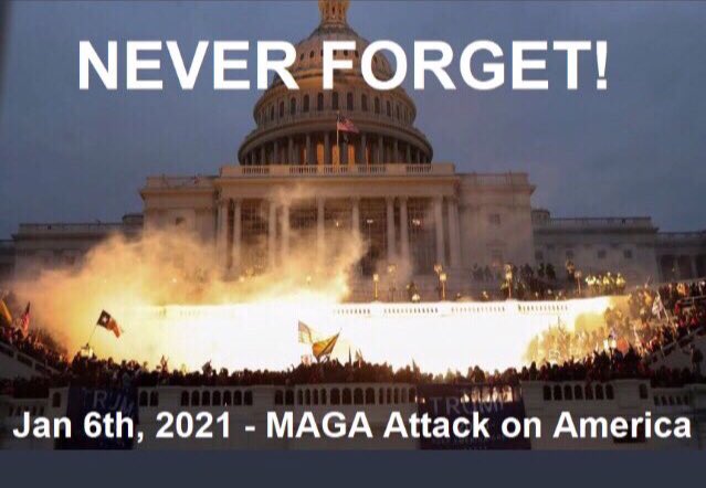 dianeeldredge99's tweet photo. @OliviaTroye Happy New Year to all those working so hard to #ProtectOurDemocracy 🇺🇸🇺🇸🇺🇸 And may God Bless the #January6SelectCommittee 🙏 https://t.co/eMehqAP52e