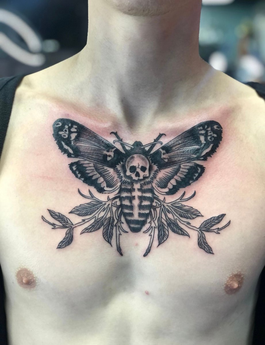 steelandInk's tweet photo. Many feel more akin to moths instead of butterflies, since moths have a rugged beauty that lacks the feel of perfection.
#stltattoo #stlpiercing #steelandinktattooSTL
#steelandinkpiercingSTL
#steelandinkstudio
#steelandinkturns13
#Thirteenin22
#getwhatyouget https://t.co/TqWhMKju9W