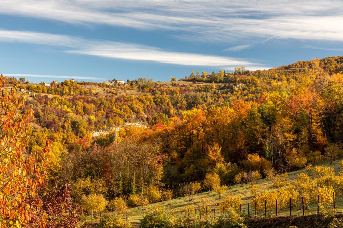 Inge Nijhoff tweet media