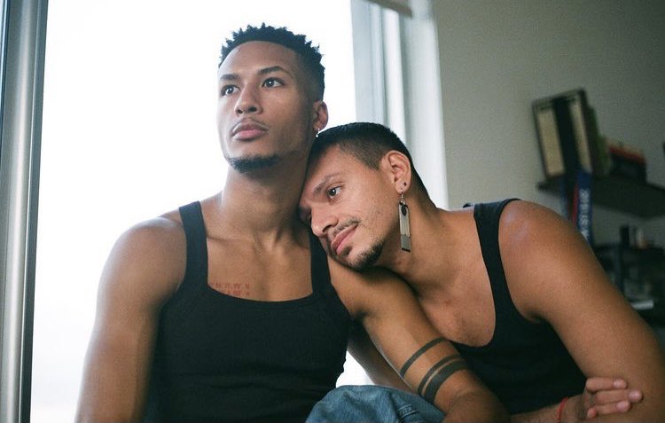 DEFINEIX L'APLICACIÓ DE CITES GAI