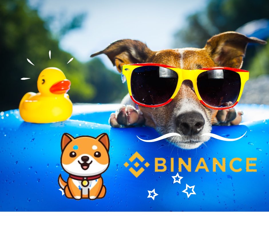 Azadrostami1's tweet photo. @cz_binance #BabyDogeCoin https://t.co/1FyEaf6omh