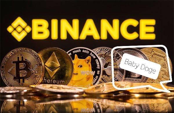 Azadrostami1's tweet photo. @cz_binance #BabyDogeCoin https://t.co/1FyEaf6omh