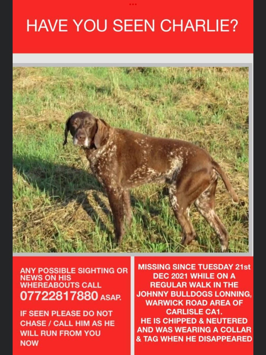 Have you seen Charlie? Missing from nearby M6 junction, Carlisle CA1. No sightings since he vanished. Highly likely someone has him. 10yrs old, he inspired <a href="/CyprusPointers/">RehomingCYPointers</a> who have since rehomed 1000 pointers. He belongs at home with his family. <a href="/TheGoodDogGuide/">The Good Dog Guide</a> <a href="/dogfriendlyinfo/">DogFriendly</a>