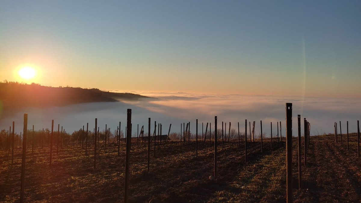 Happy New Year. 2021 was a very difficult year for winemakers everything professionally, economically and personally. Let's hope that 2022 has better things in store.🤞