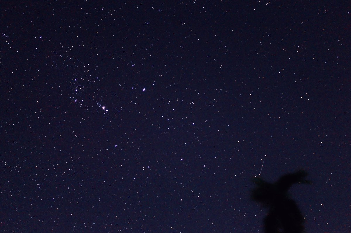 fayaspsulfikkar's tweet image. ɪғ ᴘᴇᴏᴘʟᴇ sᴀᴛ ᴏᴜᴛsɪᴅᴇ ᴀɴᴅ ʟᴏᴏᴋᴇᴅ ᴀᴛ ᴛʜᴇ sᴛᴀʀs ᴇᴀᴄʜ ɴɪɢʜᴛ, ɪ&apos;ʟʟ ʙᴇᴛ ᴛʜᴇʏ&apos;ᴅ ʟɪᴠᴇ ᴀ ʟᴏᴛ ᴅɪғғᴇʀᴇɴᴛʟʏ.  
       -ᴄᴀʟᴠɪɴ &amp;amp; ʜᴏʙʙᴇs