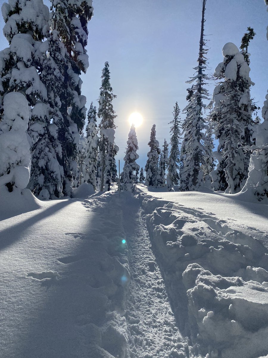 Wishing everyone a happy and healthy 2022! Bonne année pleine d’amour ❤️