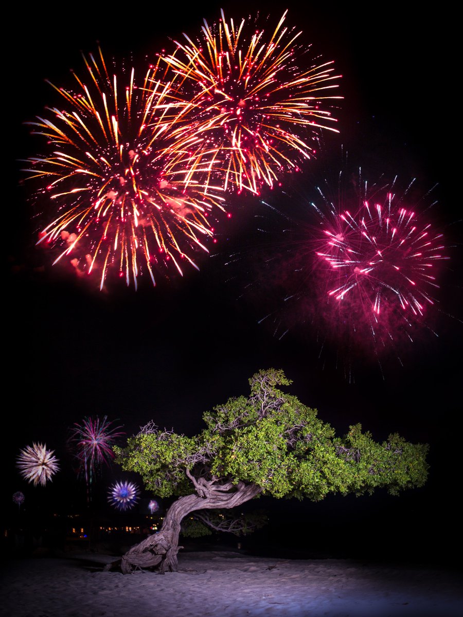 aruba's tweet photo. Wishing you a warm and #HappyNewYear from #Onehappyisland. 💙 We hope to see you soon! https://t.co/F84NBqMIWs