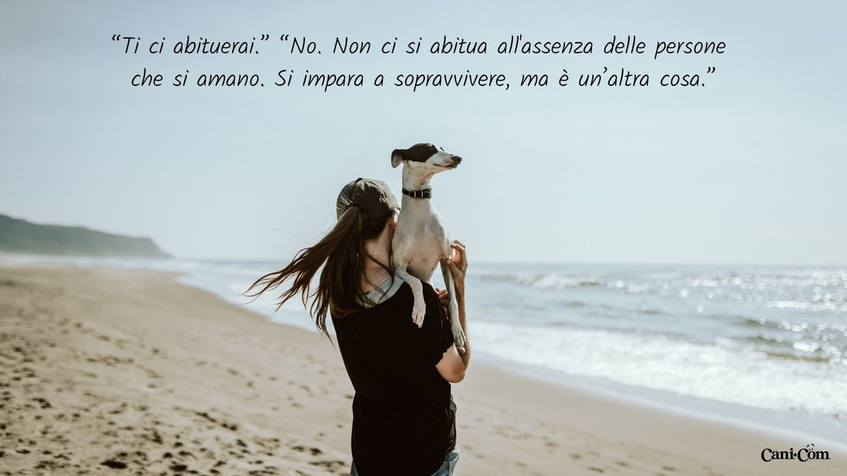 Cani_com's tweet photo. 🐶❤ #cani_com #amiciaquattrozampe https://t.co/Y3wiCBsNuN