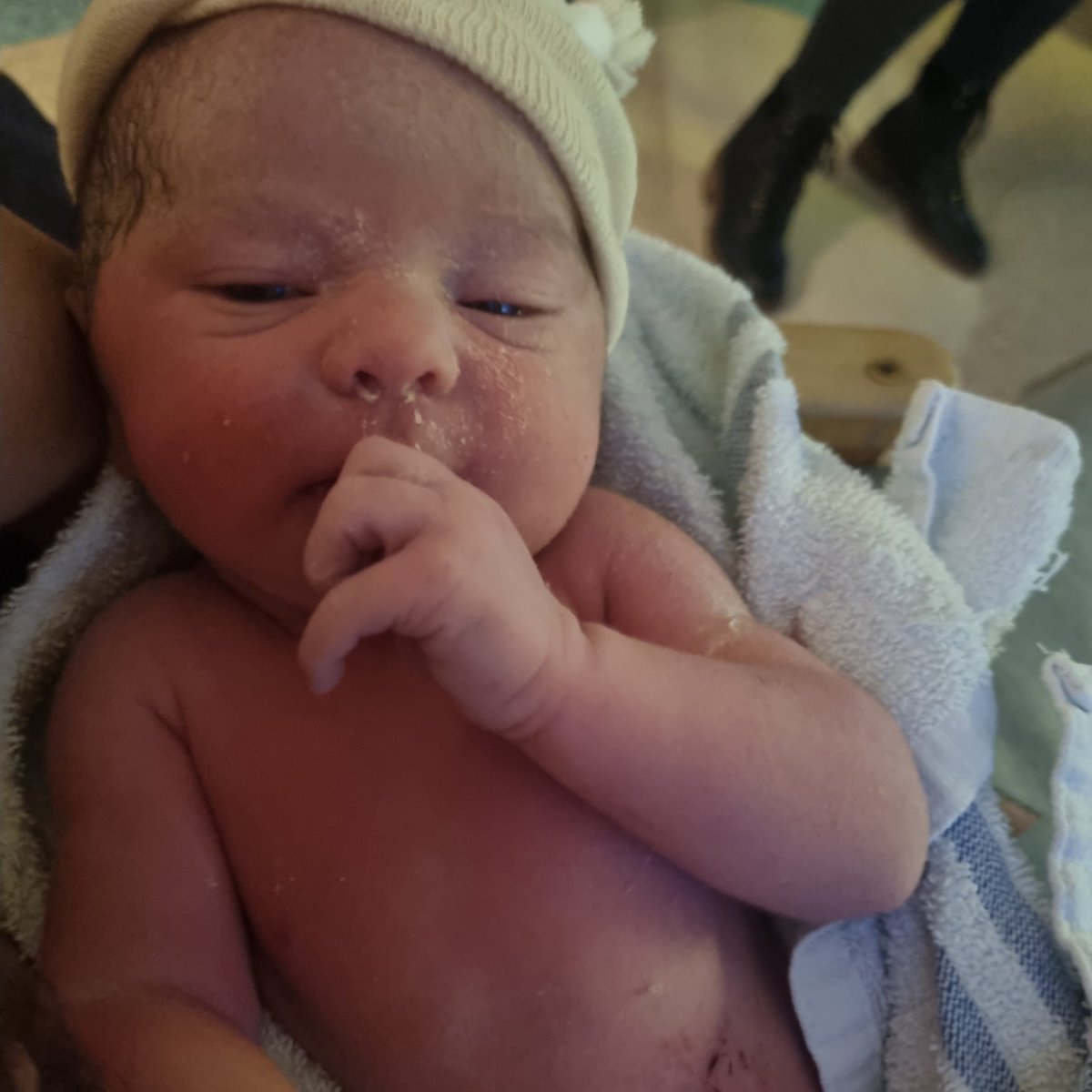 Lee🇬🇧🥋 YNWA🐦‍🔥 tweet media