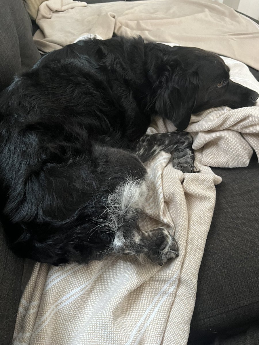 Steve Rivers tweet media