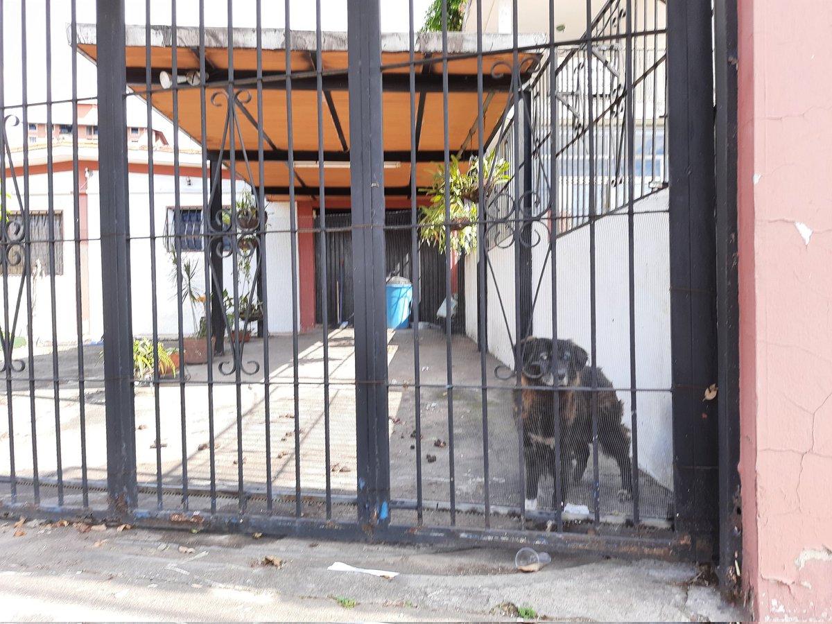 @ccarreroVe2 tweet media