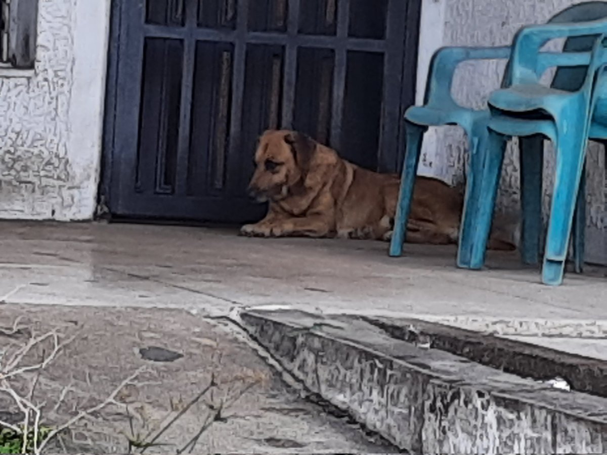 @ccarreroVe2 tweet media