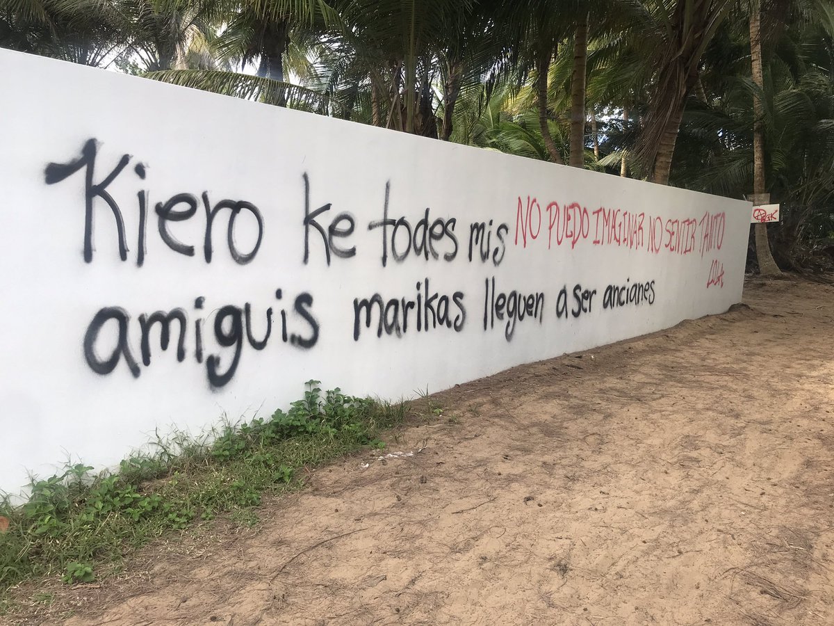yaré tweet media