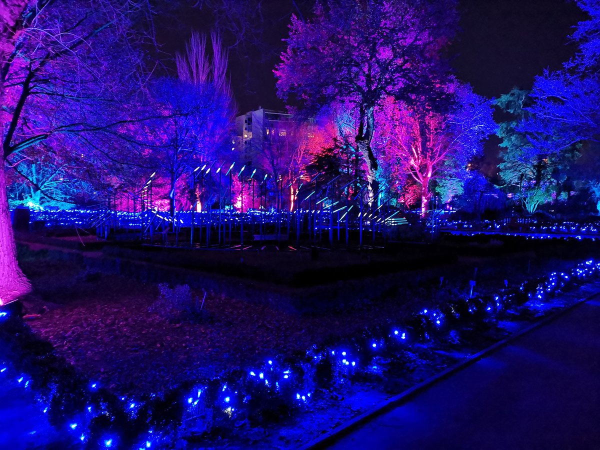 DavidPSTR's tweet photo. Madriz vol3
#elbotanico https://t.co/iCAPPHzPfg