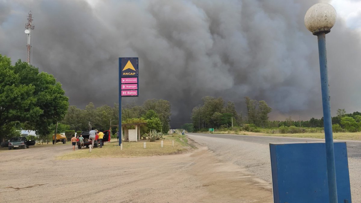 DrDiegoDurand's tweet photo. Tres Bocas y Pandule controlado. Estaciones que estuvieron en riesgo con apoyo y coordinación interinstitucional. Con presencia del Presidente @LuisLacallePou Equipos de @Minterioruy Bomberos @Luisaheber Ducsa @AncapUruguay @OSE_Uruguay @EjercitoUy 
Gran trabajo pais. https://t.co/WnF0pXNYAh