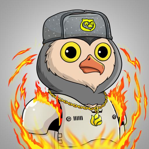 SolHub tweet media