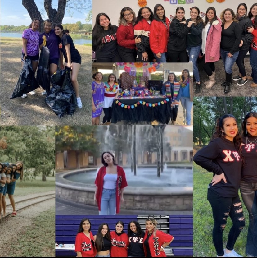 Alpha Zeta 🌺 tweet media