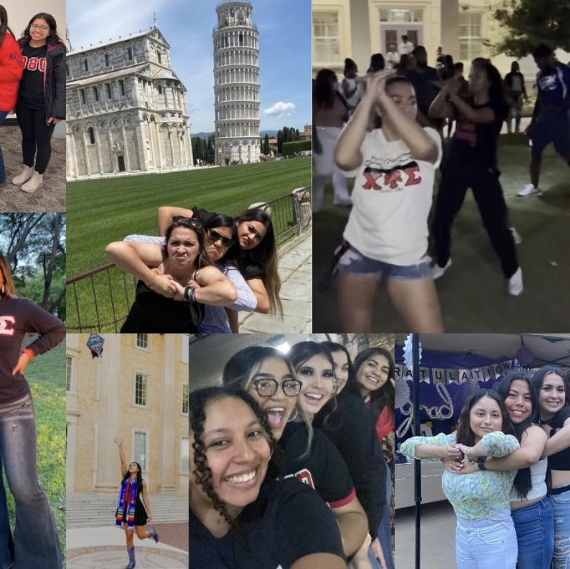 Alpha Zeta 🌺 tweet media