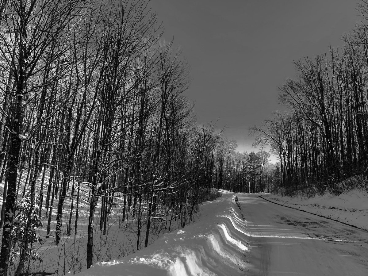 NoahSabich's tweet photo. The winding Wisconsin Rustic Road leading to the land #Wisconsin #Northwoods #TBT #RusticRoad https://t.co/5eu2uMMPfC