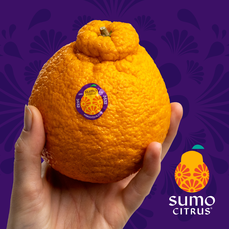 sumocitrus's tweet photo. A little weird, enormously delicious. Sumo Citrus is incredibly sweet, seedless, and easy-to-peel. In stores now!