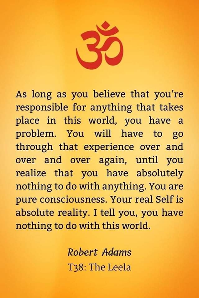 zanyar zenji (@zanyarkhalel) on Twitter photo 