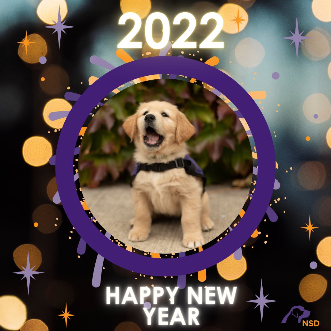 Happy New Year!!! We look forward to another year of puppies, new teams, amazing volunteers and generous donors! #happynewyear2022