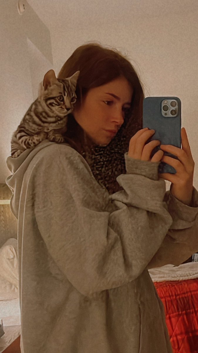 ChrissyCostanza's tweet photo. Still the biggest shock to all was me going from not really liking cats, to falling in love with Luke &amp; Lando and becoming their mommy, to then *lightly suggesting* to Tucker that we look at kittens, to then bam: 3 cats and a coffee mug that says “cat mom.” https://t.co/lUA282l2Hx