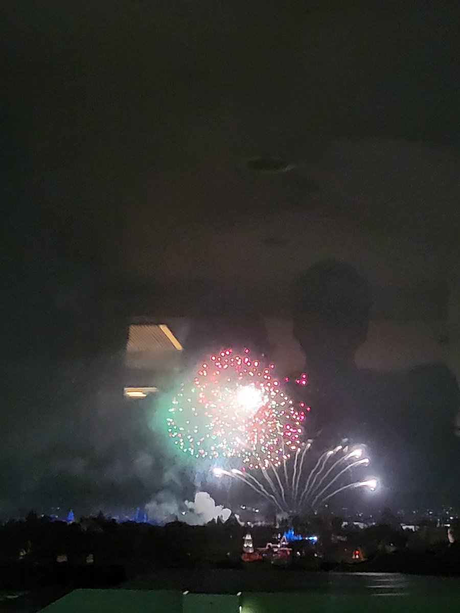 View at a hotel of New year eve fireworks in Disneyland. 
Happy new year!!