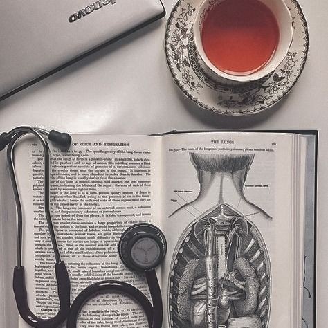 Elizabeth tweet media