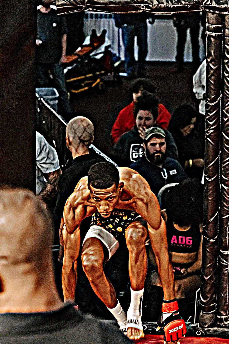 ActionJack135's tweet photo. The New Era Of The Fight Game 🦍 https://t.co/i1YLTa55ee