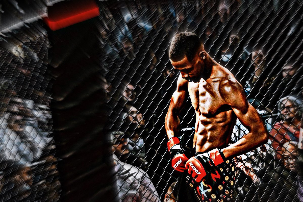 ActionJack135's tweet photo. The New Era Of The Fight Game 🦍 https://t.co/i1YLTa55ee