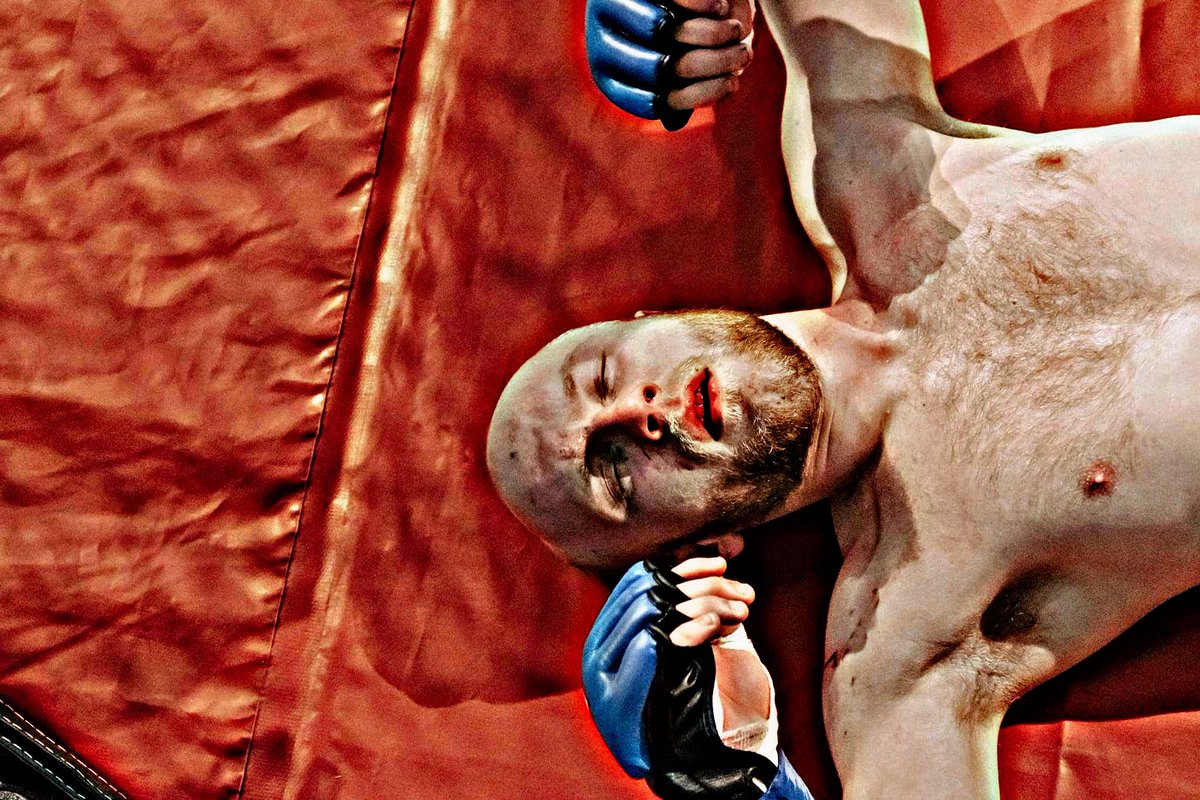 ActionJack135's tweet photo. The New Era Of The Fight Game 🦍 https://t.co/i1YLTa55ee