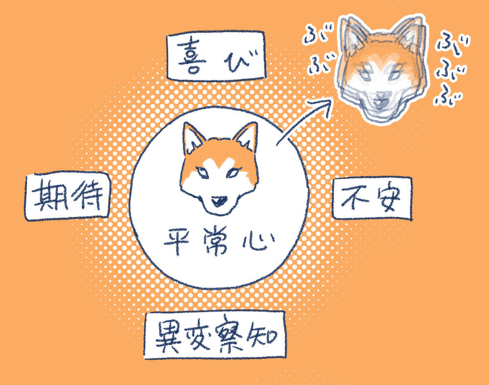 喜びバイブレーションでおなじみの小夏ですが、この1年の間にいろんな場面で震えが見られるようになりまして。
たぶんこういうことだと推察してます。
わりと軽率に震えるよ! 
