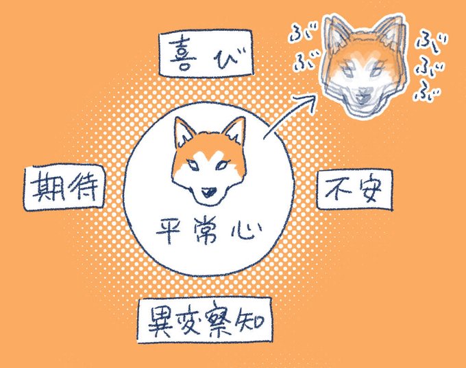 喜びバイブレーションでおなじみの小夏ですが、この1年の間にいろんな場面で震えが見られるようになりまして。
たぶんこういうことだと推察してます。
わりと軽率に震えるよ! 
