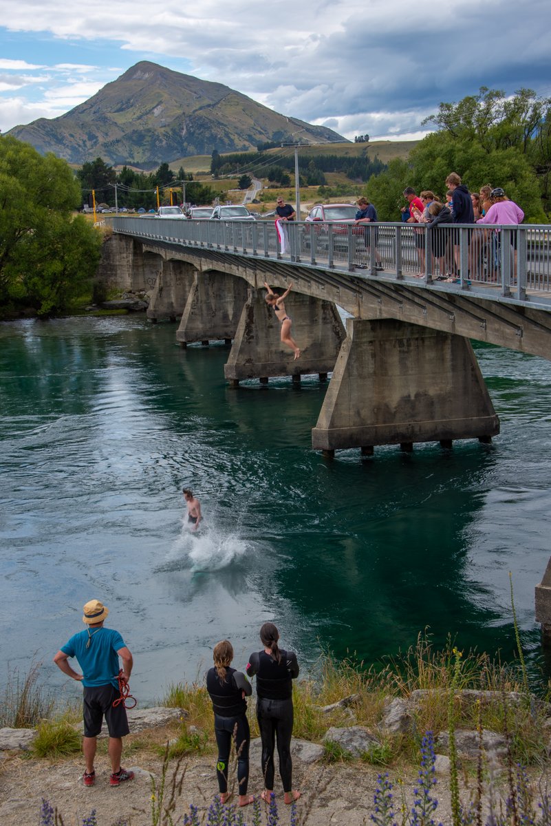 five15design's tweet photo. Aotearoa NZ's unofficial summer sport #BridgeJumping on Mata-Au the Clutha from the Albert Town bridge, Wānaka https://t.co/I9et58U31g