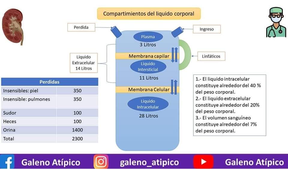 AMEEMCTI2020's tweet photo. AMEEMCTI A.C
Compartimentos del líquido corporal
Creditos: Galeno Atípicos
Ameemcti Enfermeras https://t.co/tkG4K2u7DB