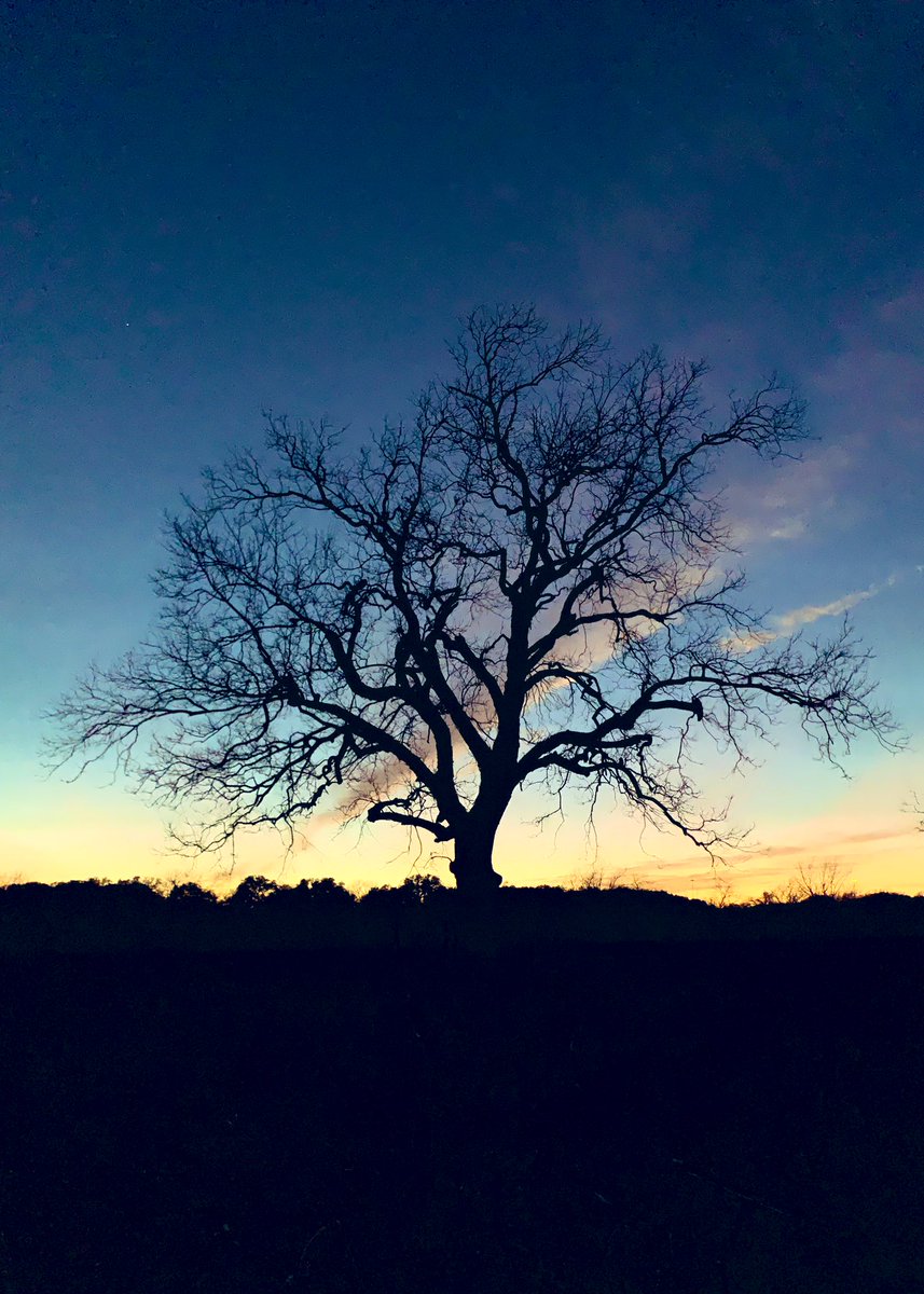 JonMotsinger's tweet photo. Got a little bit of a late start, so our #FirstDayHike ended as a night hike. A great way to kick off 2022! https://t.co/1wnHEuxCT0