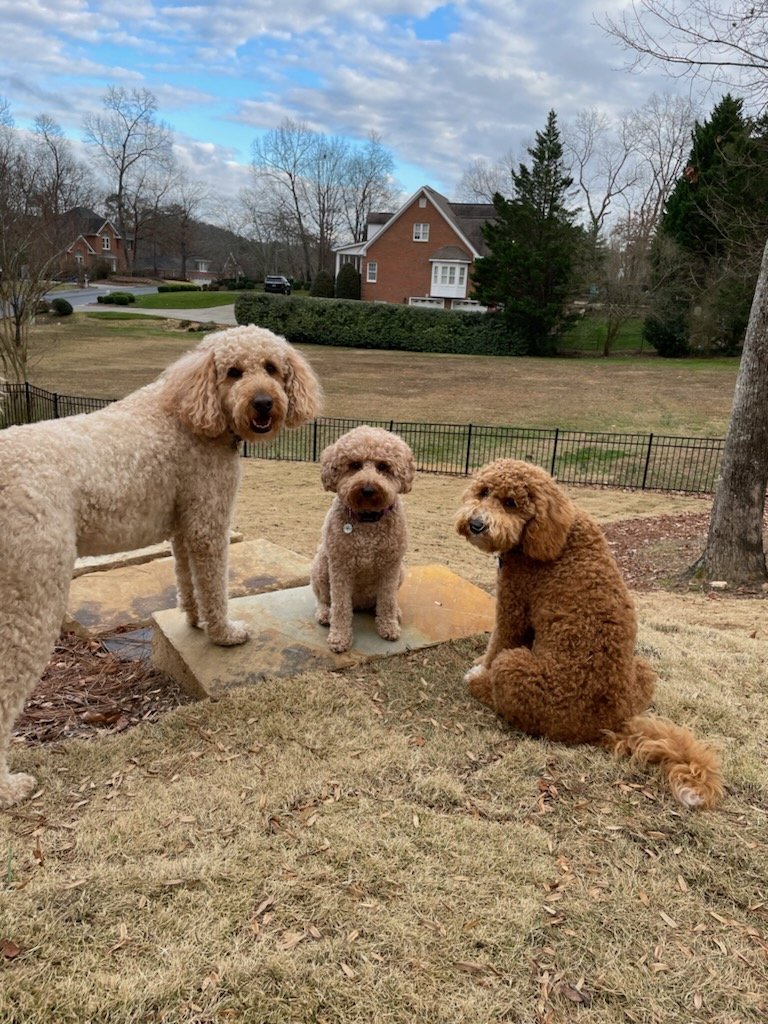 Ryan 🚬🐴 tweet media