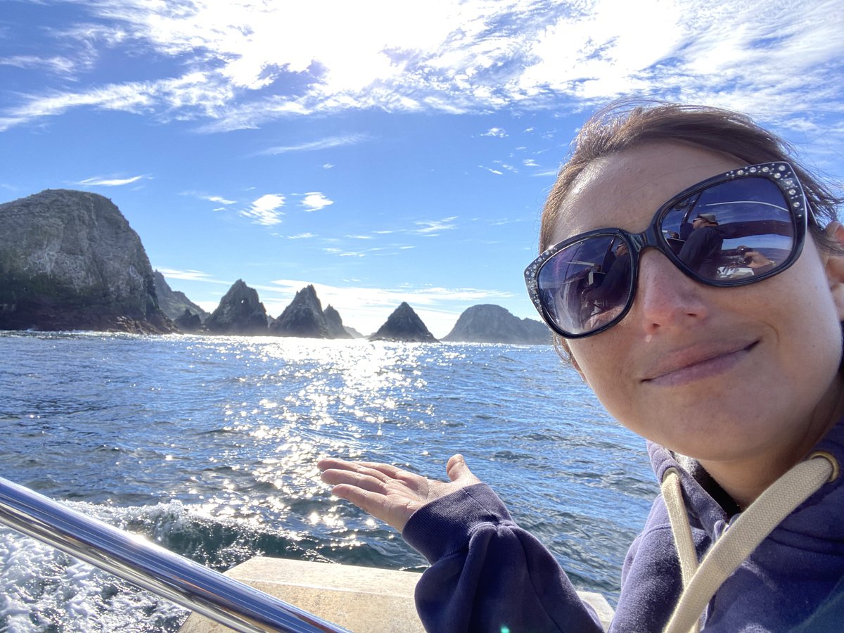 VickySharky's tweet photo. Hello 2022 👋🏽 This year I’m challenging myself to post everyday. So let’s see if I can keep things sharky for 365 days. Last November I hung out with some #cagedivers at the #FarallonIslands 💙🦈💙🦈
#HappySharkYear #HappyNewYear #Sharks2022 #TheFarallones #Sharks https://t.co/DKvq2H3EVb