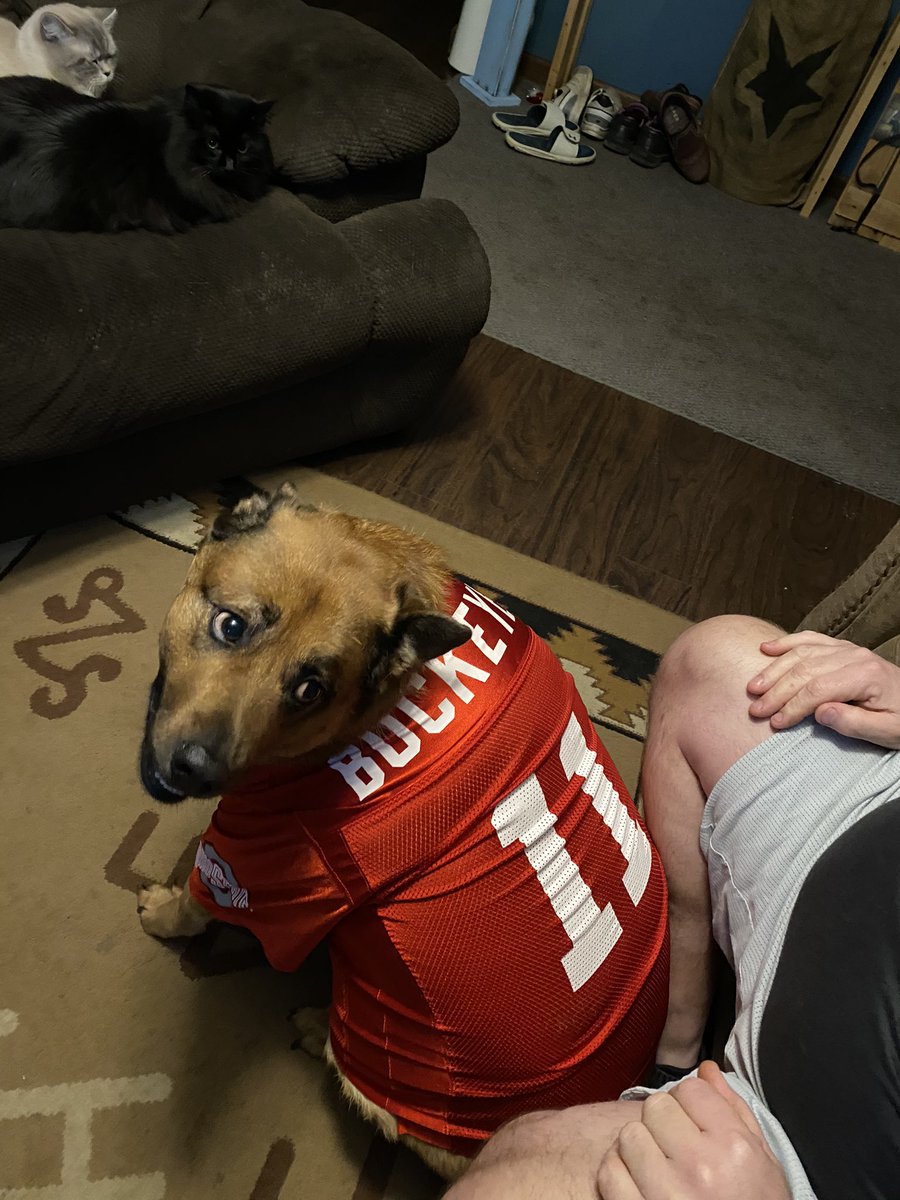 Thor says way to go Buckeyes. They kept fighting. Thor going to need a New Jersey. His getting a little to small. #OhioState #RoseBowl https://t.co/zhI5VuthHA