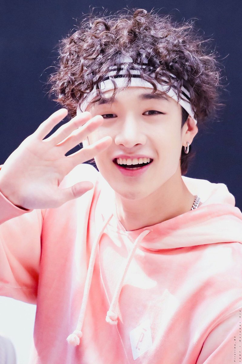 chaniieez's tweet photo. :¨·.·¨:  
 `·.. ➳ 365 days with bangchan ♡ https://t.co/iLqwmdZf7q
