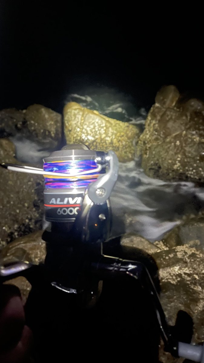 kmk_141's tweet photo. 年初めは釣り🎣 https://t.co/bTcPZFdcDy