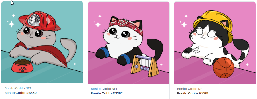 chucKing_'s tweet photo. just minted these @BonitoCatito because how could I not mint these cute little chonkers?? https://t.co/ptSc6zzOGX