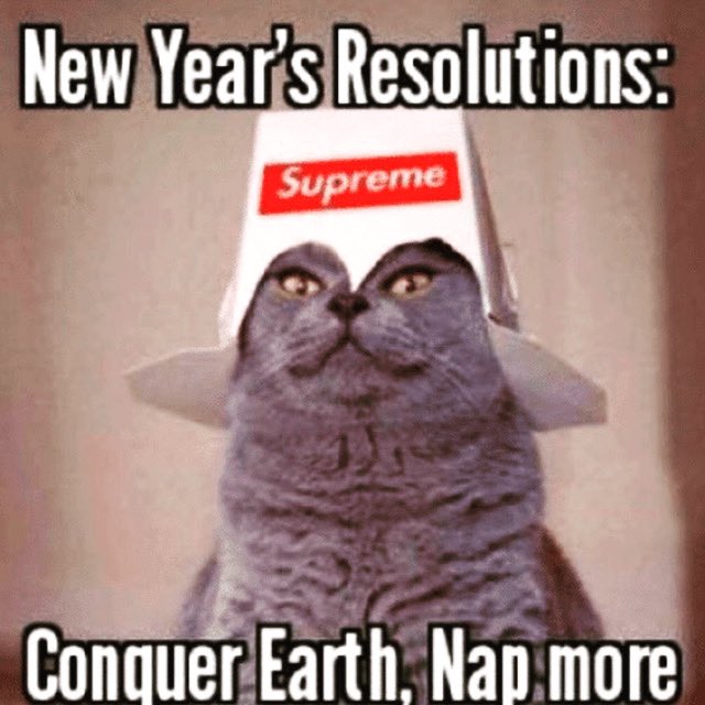 We are open today, 4pm-2am. It’s ok to exit the house and head over. #littledipperlovesyou #newyearsday #curethathangover