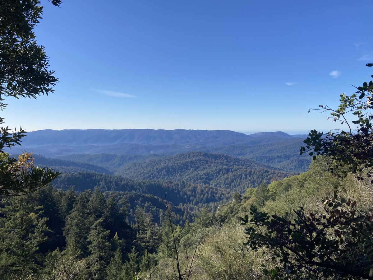 Took a 4-month hiatus from Twitter to start a #NewJob, move halfway across the world (yes, world!) to #Cali (so much ⛰️ hiking!), get set up in my new apt, take care of my #family, finish a #NewBook, and figure out my path for the future. 

Hi, Twitter! 😉
Hello, 2022!