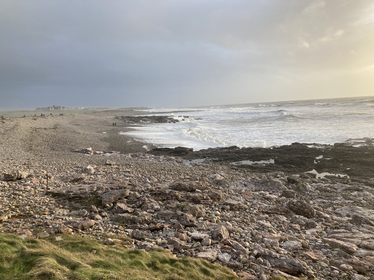 Sarahmaccardiff's tweet photo. Lovely start to 2022 blowing away the cobwebs at Rest Bay. Blwyddyn Newydd Dda 🎉🎉 https://t.co/N2koAWYwzP