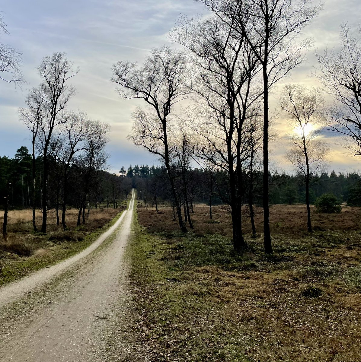 Wat een heerlijke eerste dag van het jaar. De eerste 50 kilometer van dit jaar staan weer op de teller 🚴🏻‍♀️. Van buiten spelen blijf ik blij (en het is goed voor mijn bloedsuikers natuurlijk!).