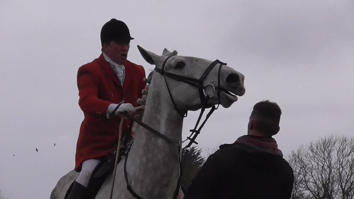 HuntSabsIreland's tweet photo. Connacht Hunt Saboteurs (our western group) were out sabbing the notoriously violent Galway Blazers this morning.

More info: https://t.co/lMgdeQWZ51

#foxhunting #bloodsports #HuntSabs https://t.co/ybIY2lFlss